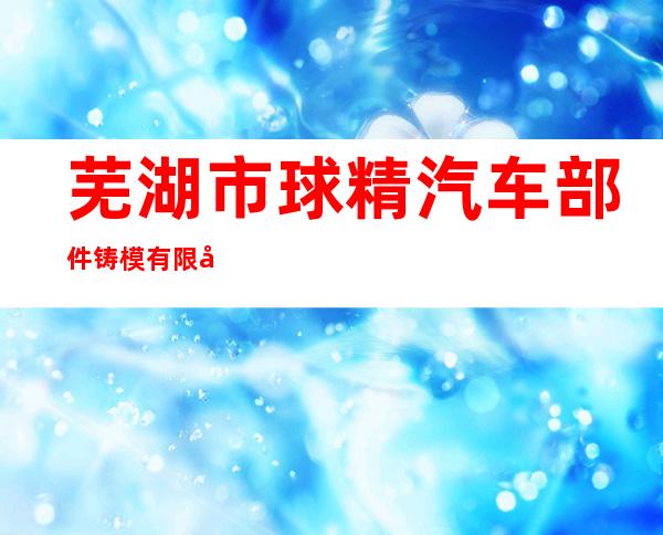 芜湖市球精汽车部件铸模有限公司